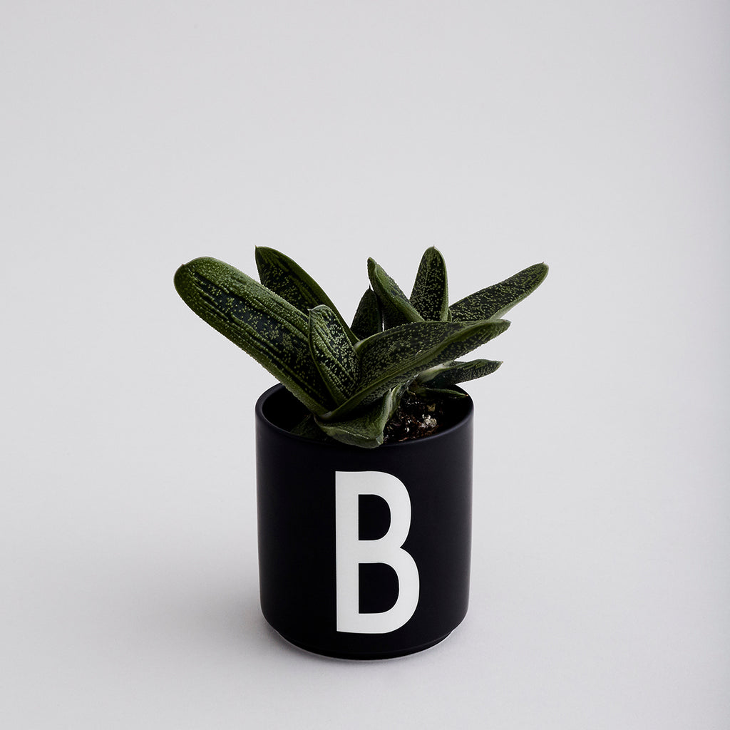 Schwarze Tasse mit weißem B als Blumentopf dekoriert