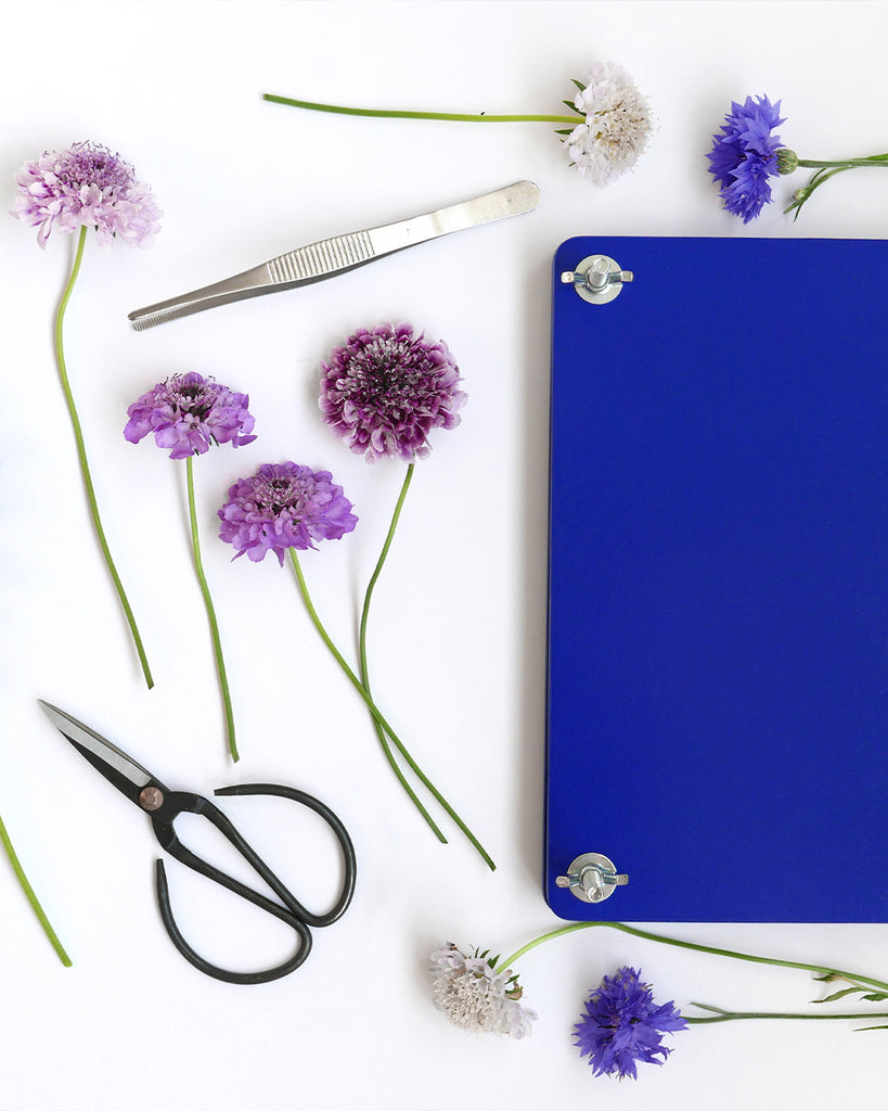 Pressplatte blau mit Schrauben, Schere, Pinzette, Blumen