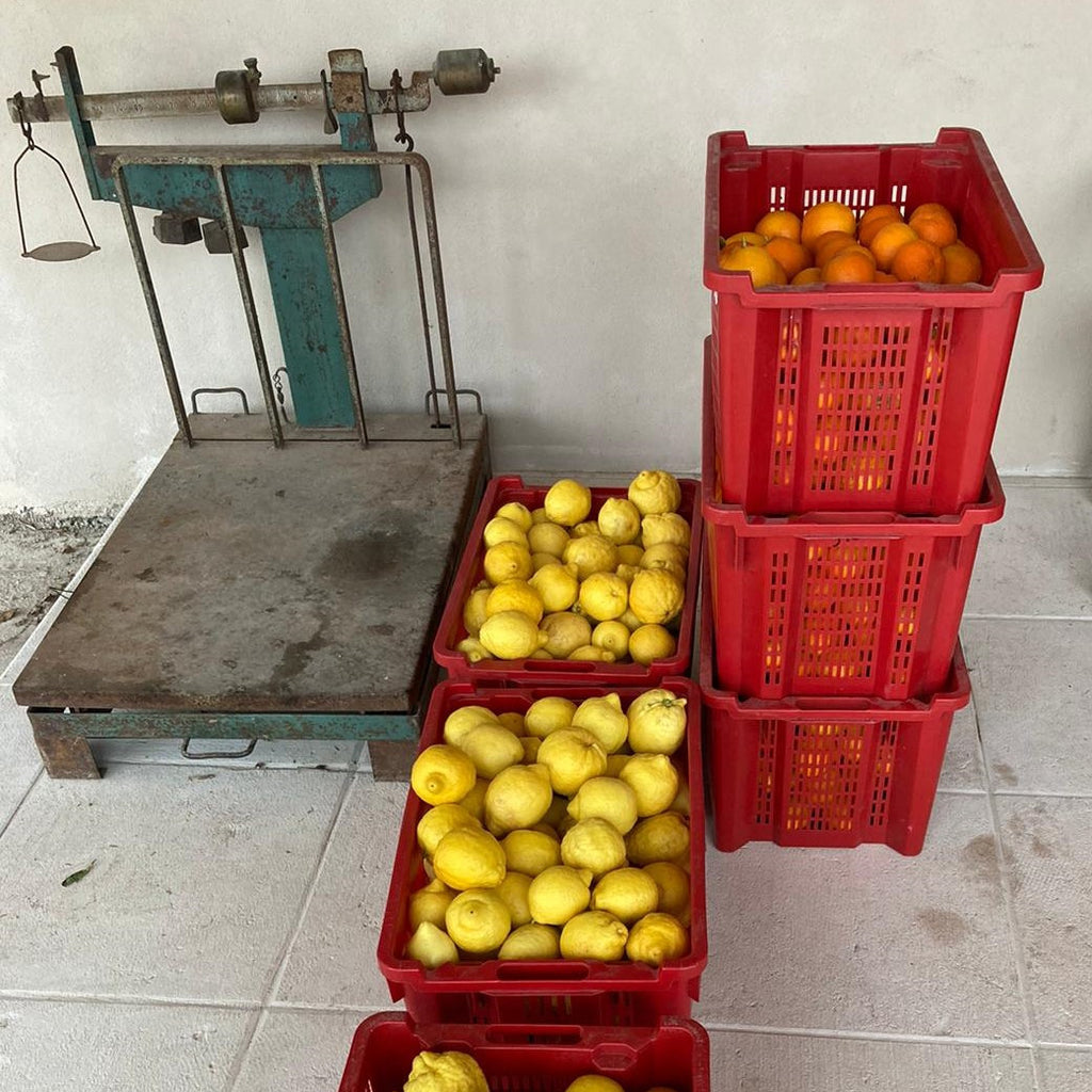 Mehrere rote Körbe voller Zitronen und Orangen neben einer Waage