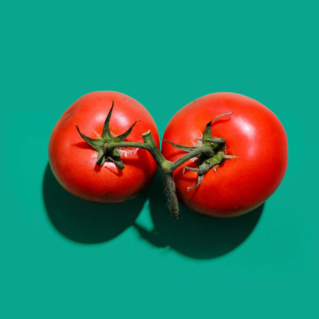 zwei Tomaten auf hellgrünem Untergrund